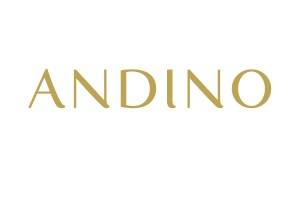 Centro Comercial Andino de los centros comerciales en Colombia