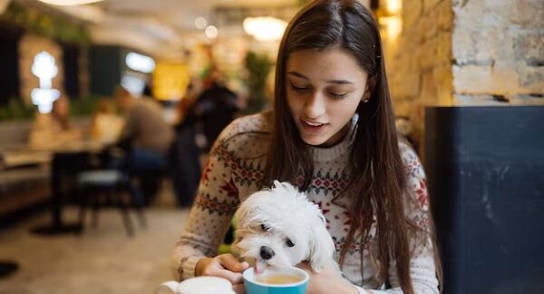 Los mejores restaurantes Pet Friendly de Colombia