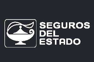 Seguros Del Estado S. A.