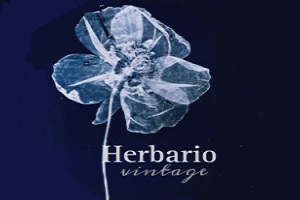 Herbario vintage de las tiendas de ropa vintage en Colombia