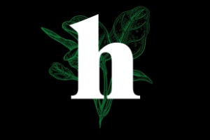 Herbívoro Cocina Vegana