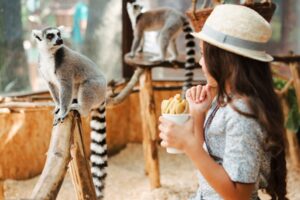 viditas a Zoológicos de las actividades para niños de preescolar en Colombia