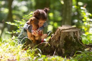 excursiones a parques naturales 
