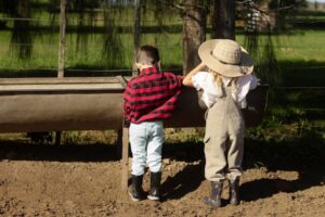 Excursión a granja