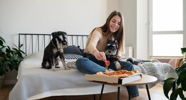 Los mejores hoteles pet friendly en Colombia