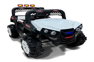 foto de la Camioneta Eléctrica Campero tipo Buggy Todoterreno