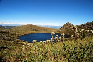 foto del Parque Nacional Natural Chingaza