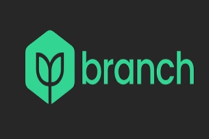 uno de los gestores de tráfico digital en Colombia, logo de la agencia Branch
