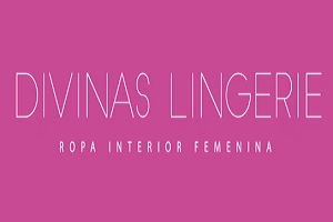 logo de Divinas Lingerie