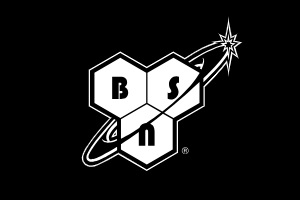 marcas de whey - logo de la marca BSN