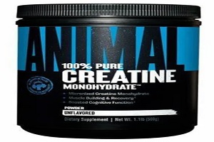 mejores marcas de creatina - presentación de la Creatina monohidratada Animal Universal