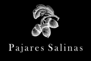 restaurantes de comida internacional - logo del restaurante Pajares Salinas