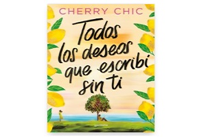 diseño de la portada de Todos los deseos que escribí sin ti 